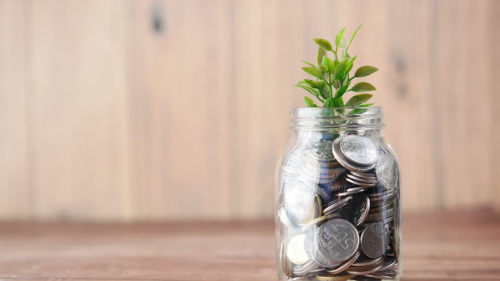 Glass jar of coins with a seedling growing from it
